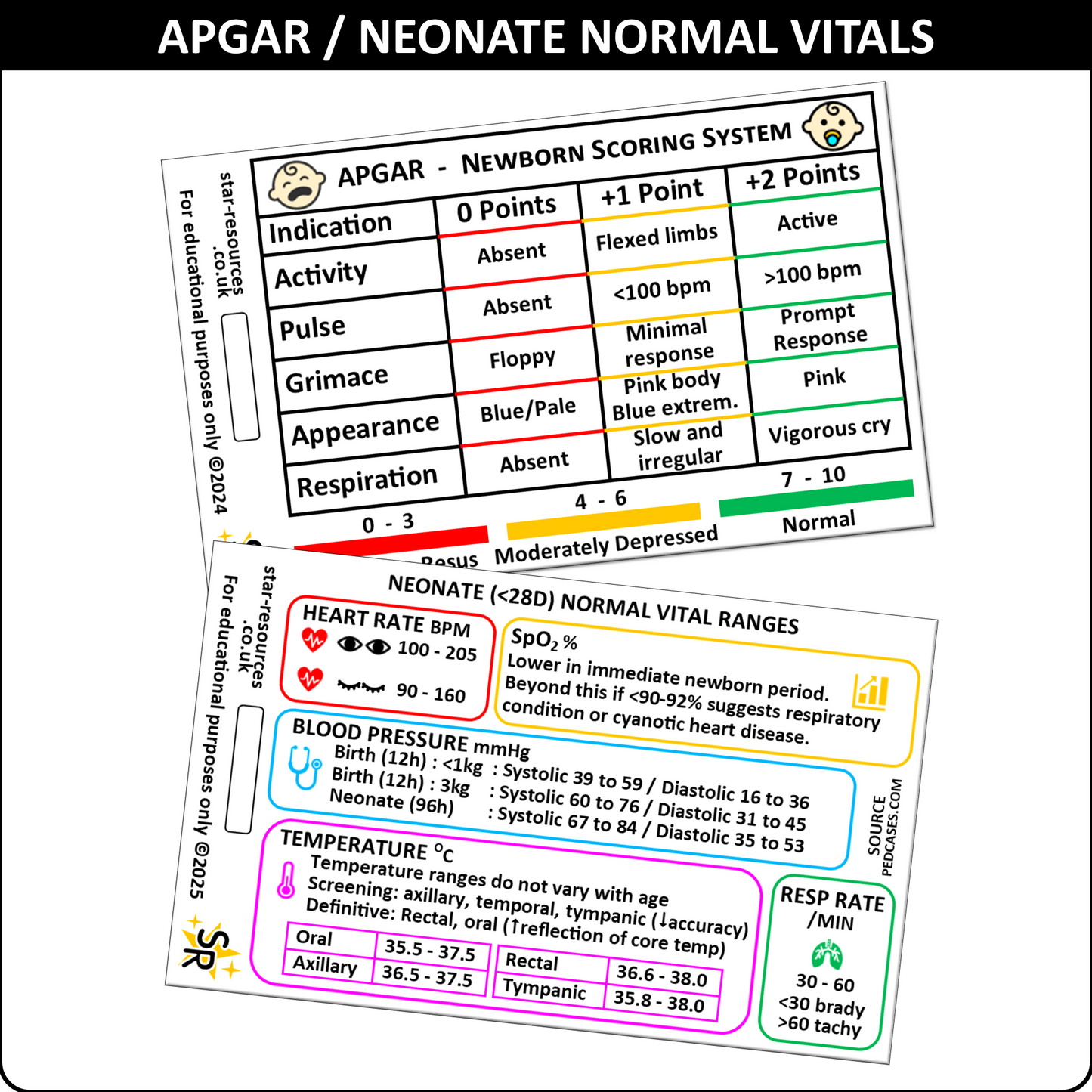 APGAR and Neonatal Vital Signs ID Badge Card | Midwife Maternity