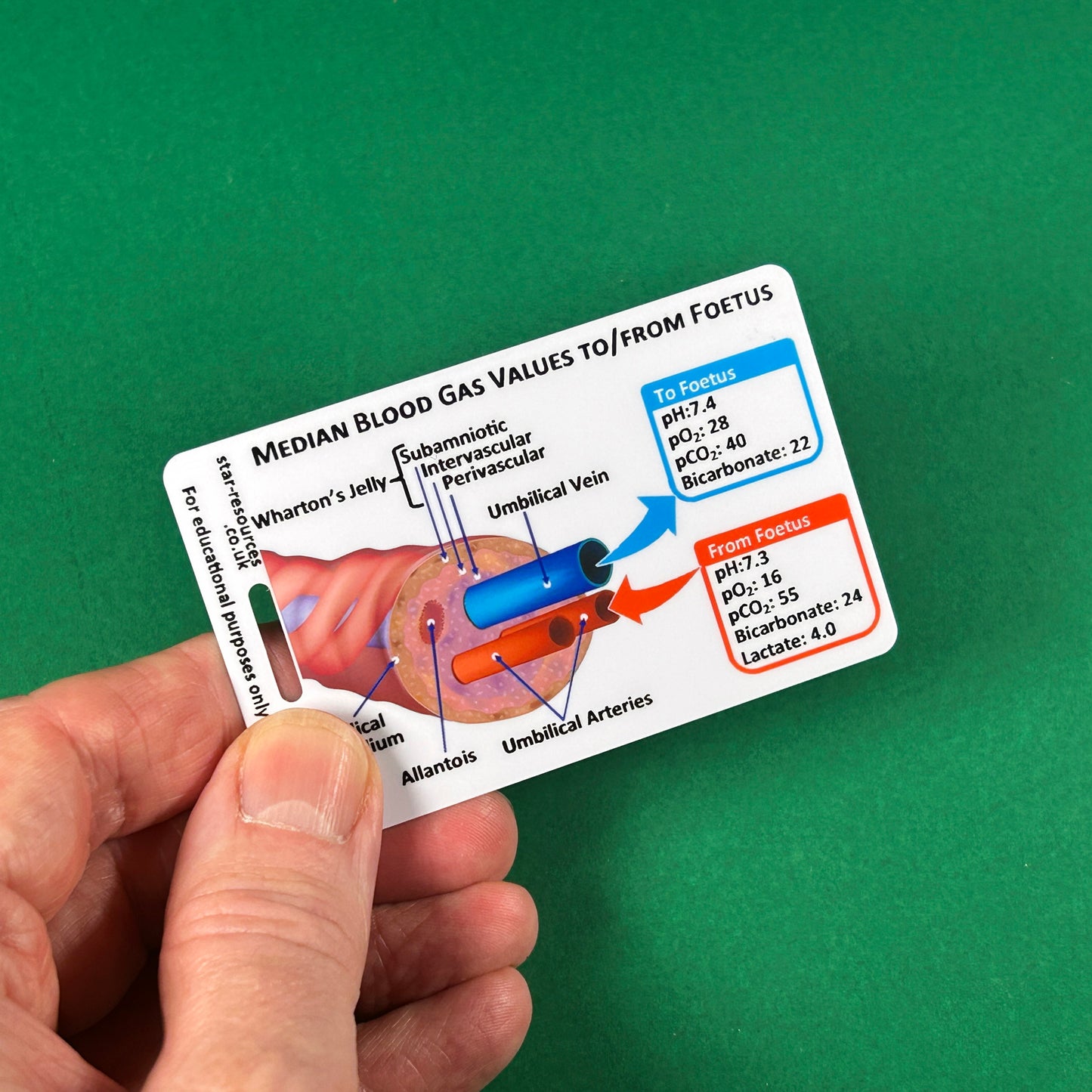 Student Midwife Card Set 1