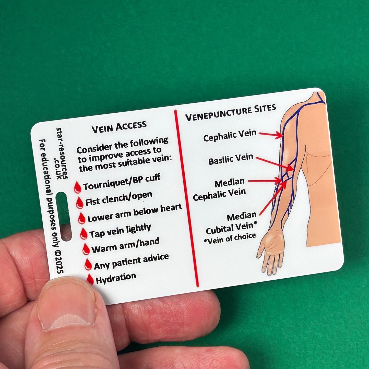 Order of Blood Draw ID Badge Card | Paramedic Flashcard | Nurses Phlebotomist Student