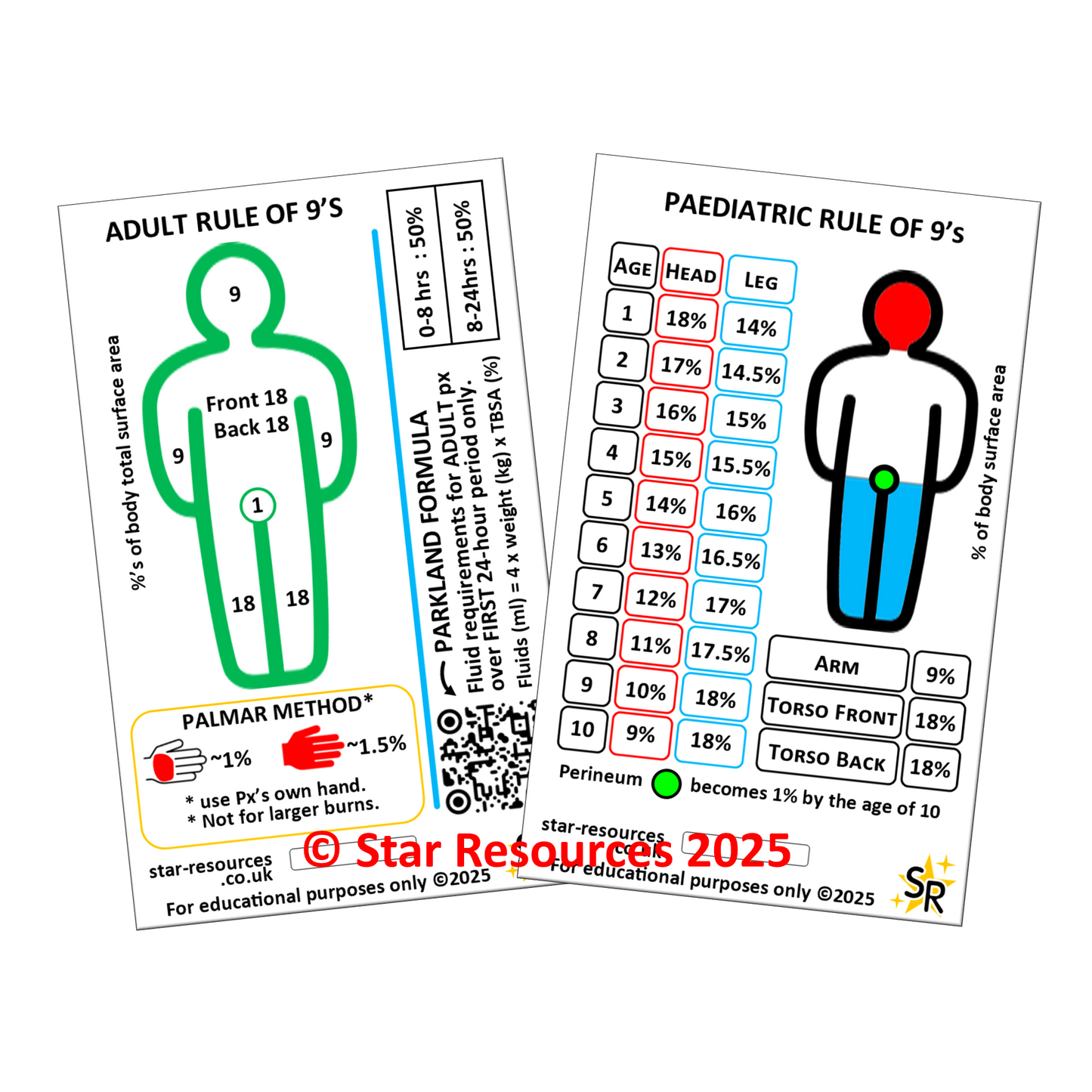 Rule of Nine Burns ID Badge Card Student Nurse Paramedics Ambulance