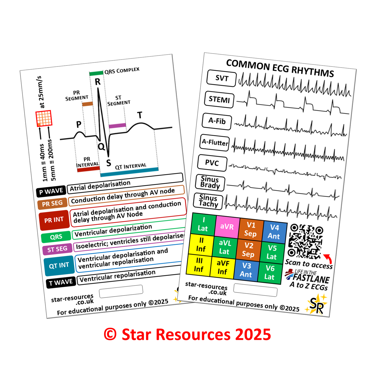ECG Rhythms ID Badge Card