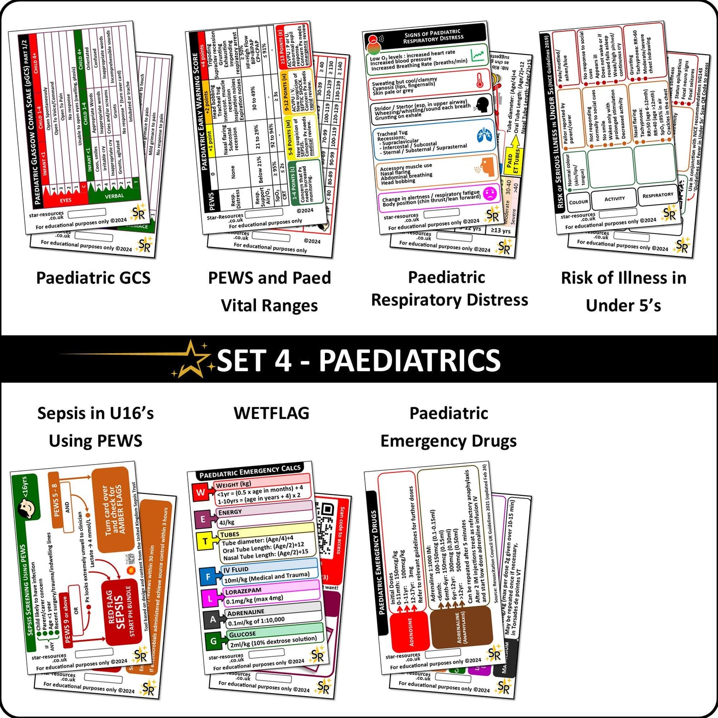 Set 4 - Paediatric Patient Assessment ID Badge Cards Student Nurses, Paramedic, Ambulance