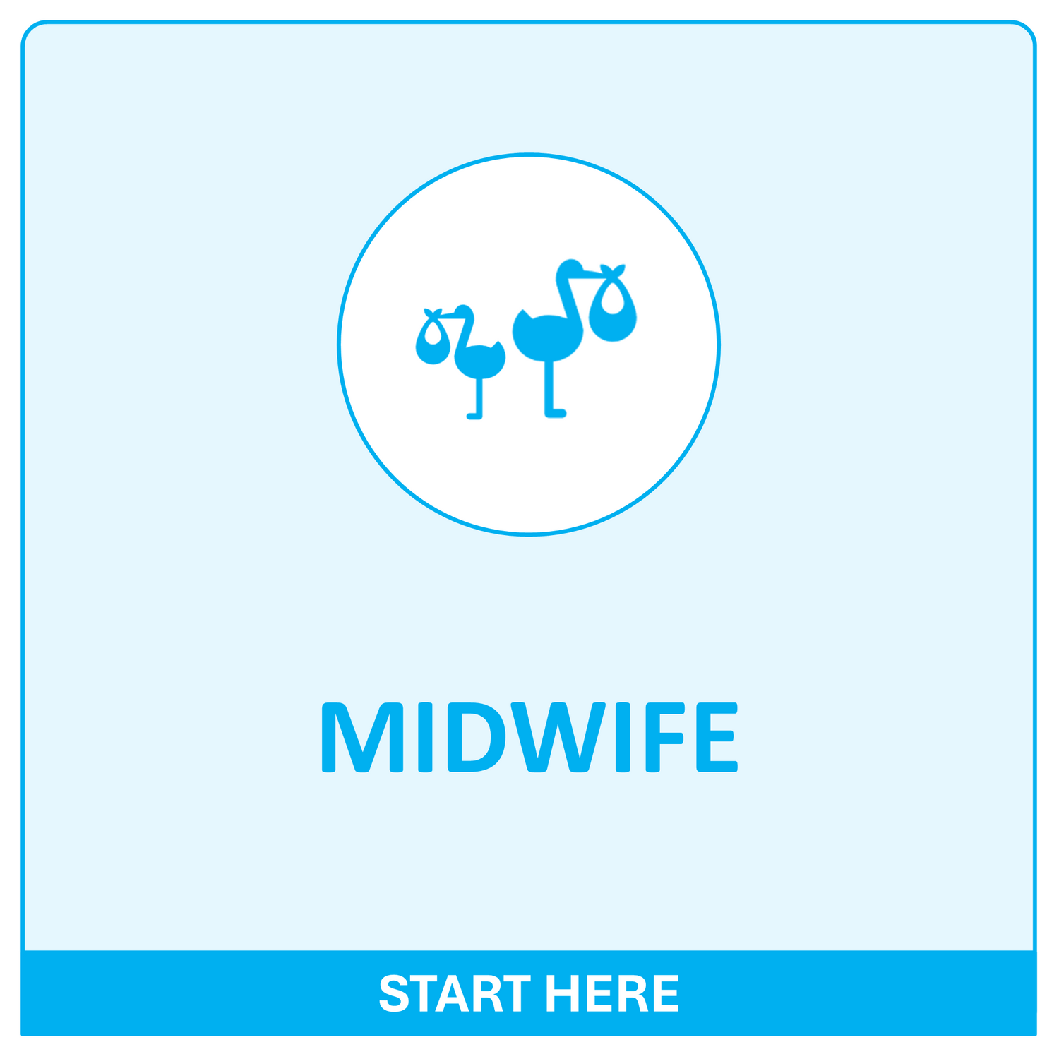 Start Here - Midwife