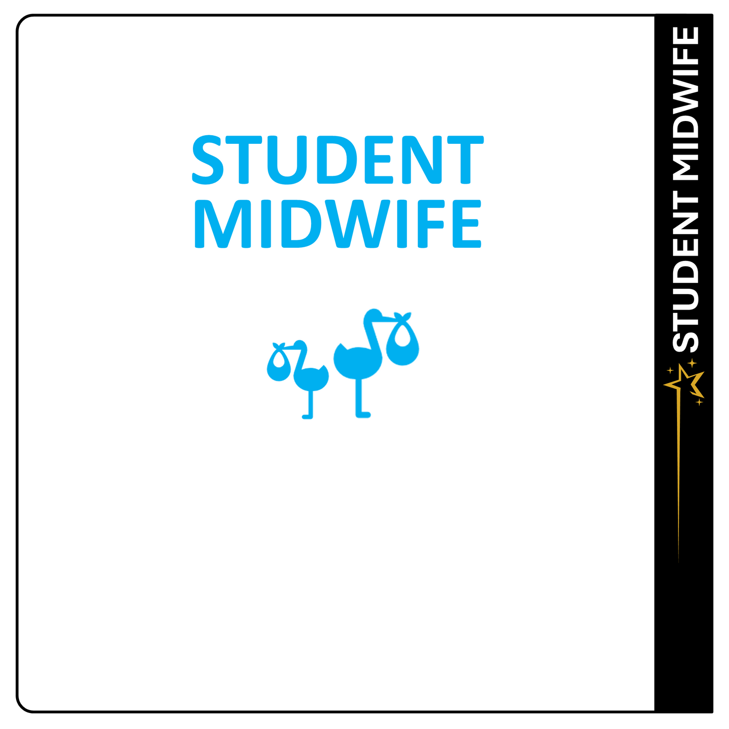 Student Midwife
