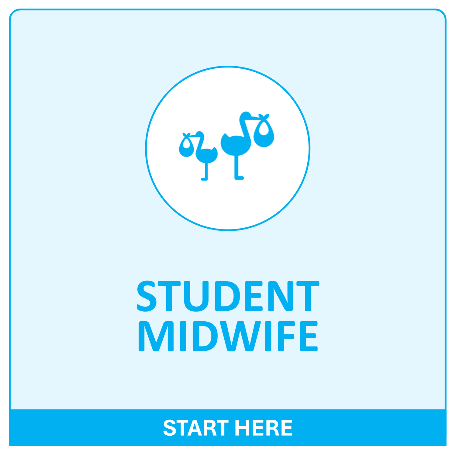 Start Here... Student Midwife