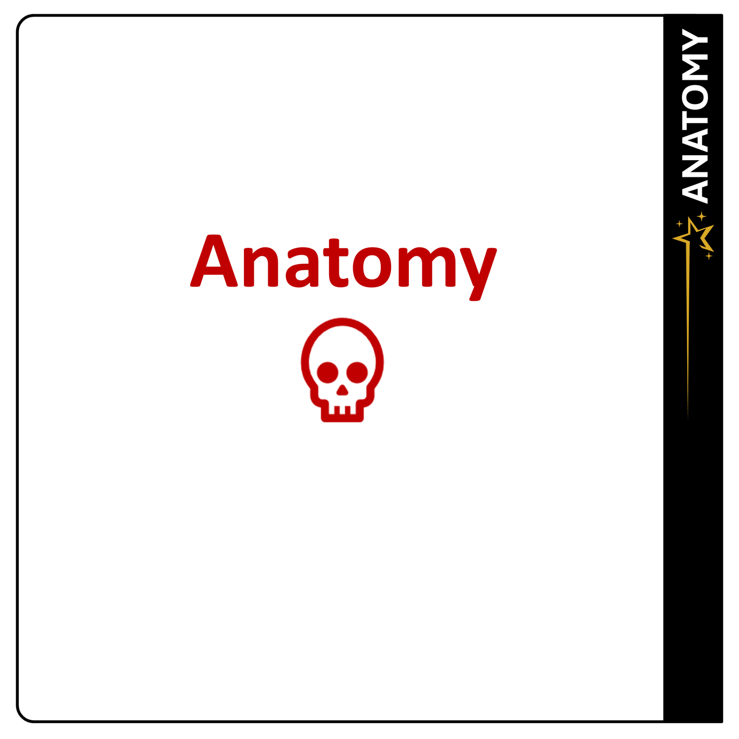 Anatomy
