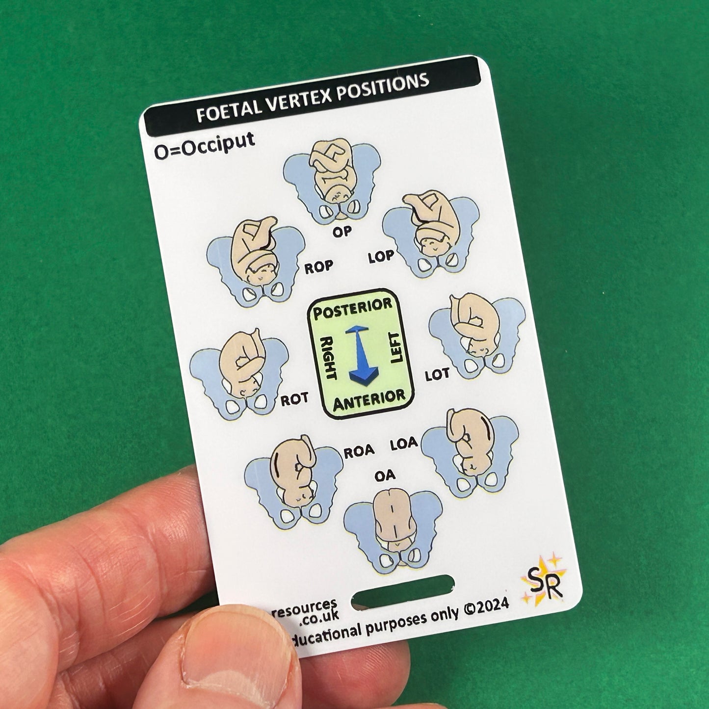 Foetal Birth Positions ID Badge Card