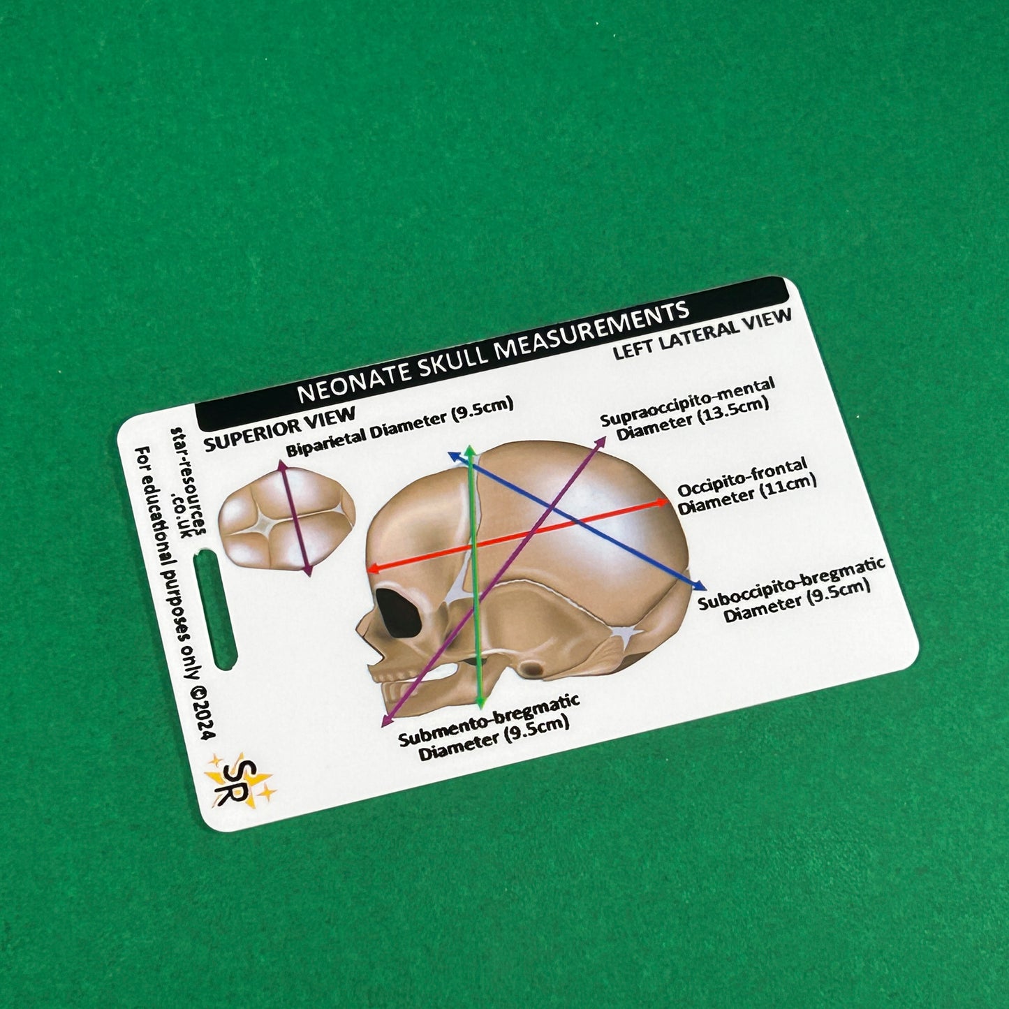 Neonate Skull Anatomy ID Badge Card Nurse Midwife Student Paramedic FREC Ambulance