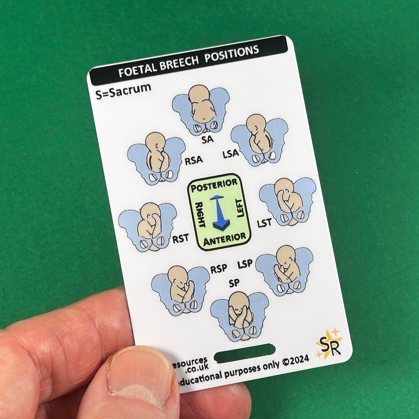 Foetal Birth Positions ID Badge Card