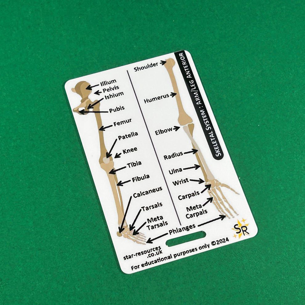Skeletal System ID Badge Card | Paramedic Flashcard | Anatomy Study Ai ...