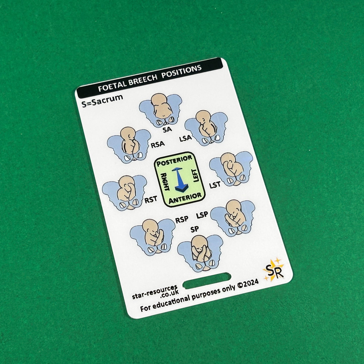 Foetal Birth Positions ID Badge Card