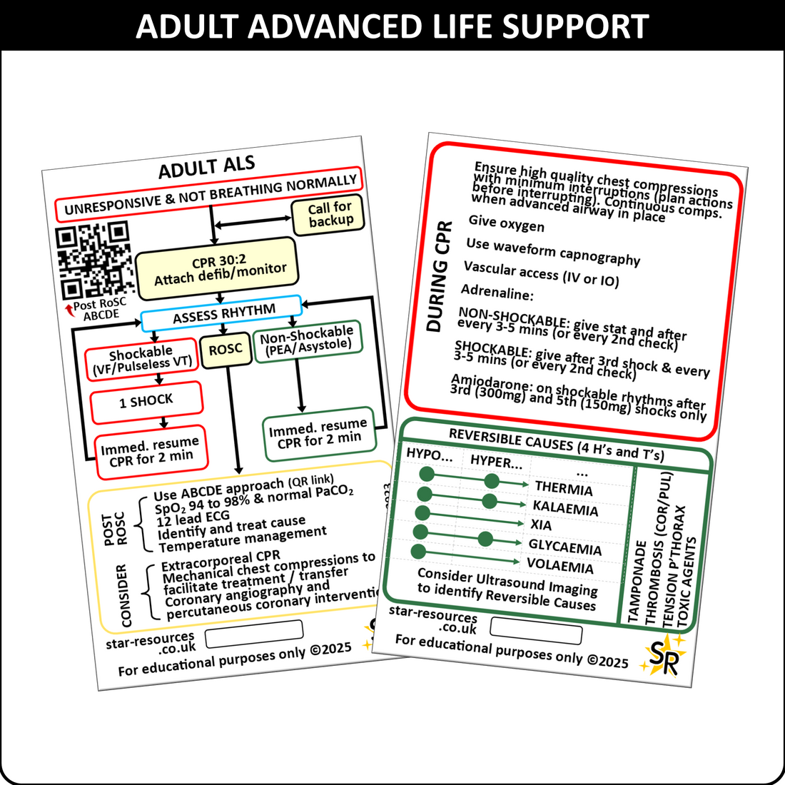 Adult Advanced Life Support ALS Patient Assessment Flashcard - Pocket ...