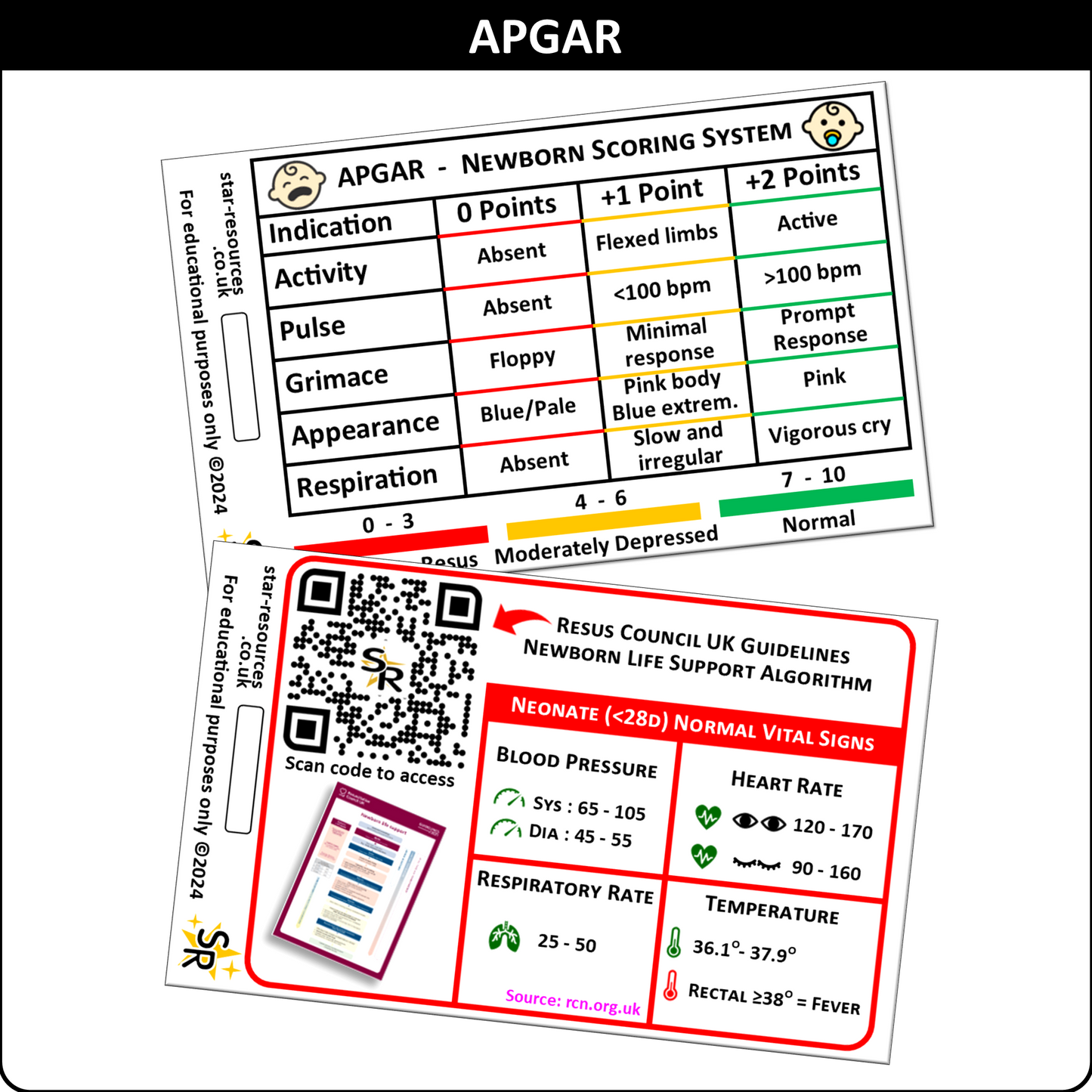 APGAR ID Badge Card | Paramedic Flashcard | Midwife Maternity Nurse Student Neonatal