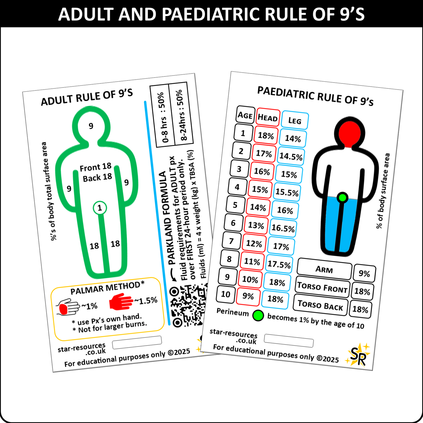 Rule of Nine Burns ID Badge Card Student Nurse Paramedics Ambulance