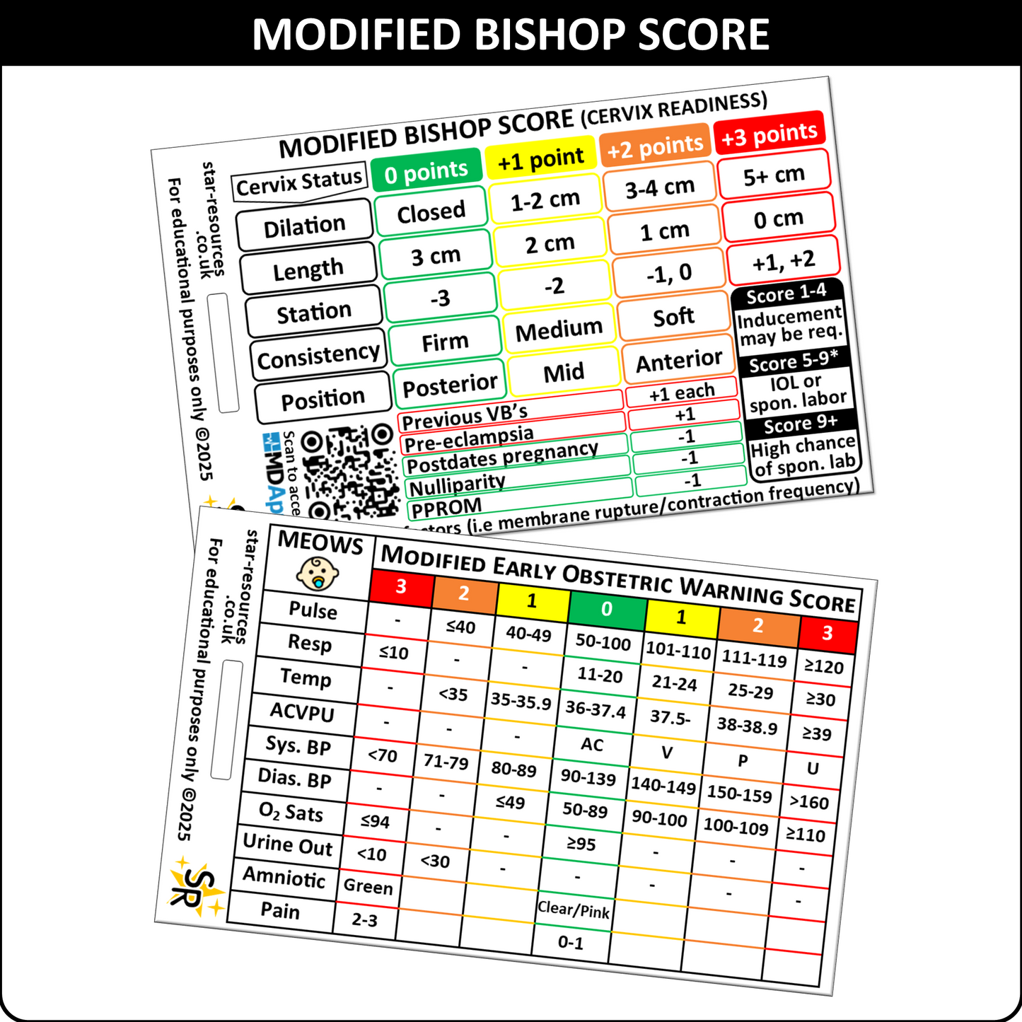 Modified Bishop Score and MEOWS ID Badge Card Nurse Student Midwife Paramedic FREC Ambulance