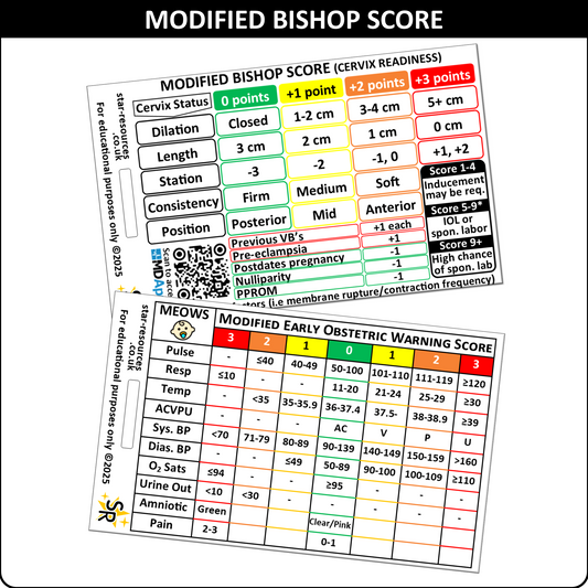 Modified Bishop Score and MEOWS ID Badge Card Nurse Student Midwife Paramedic FREC Ambulance