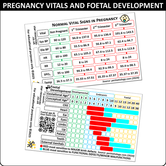 Normal Vital Signs in Pregnancy | Foetal Development | Paramedic Flashcard | Midwife Maternity Nurse Student Prenatal