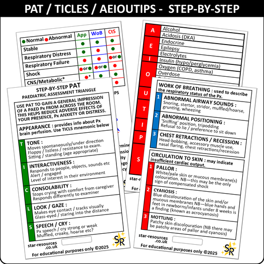 Paediatric Assessment Triangle - PAT - ID Badge Flash Card Student Paramedics Ambulance