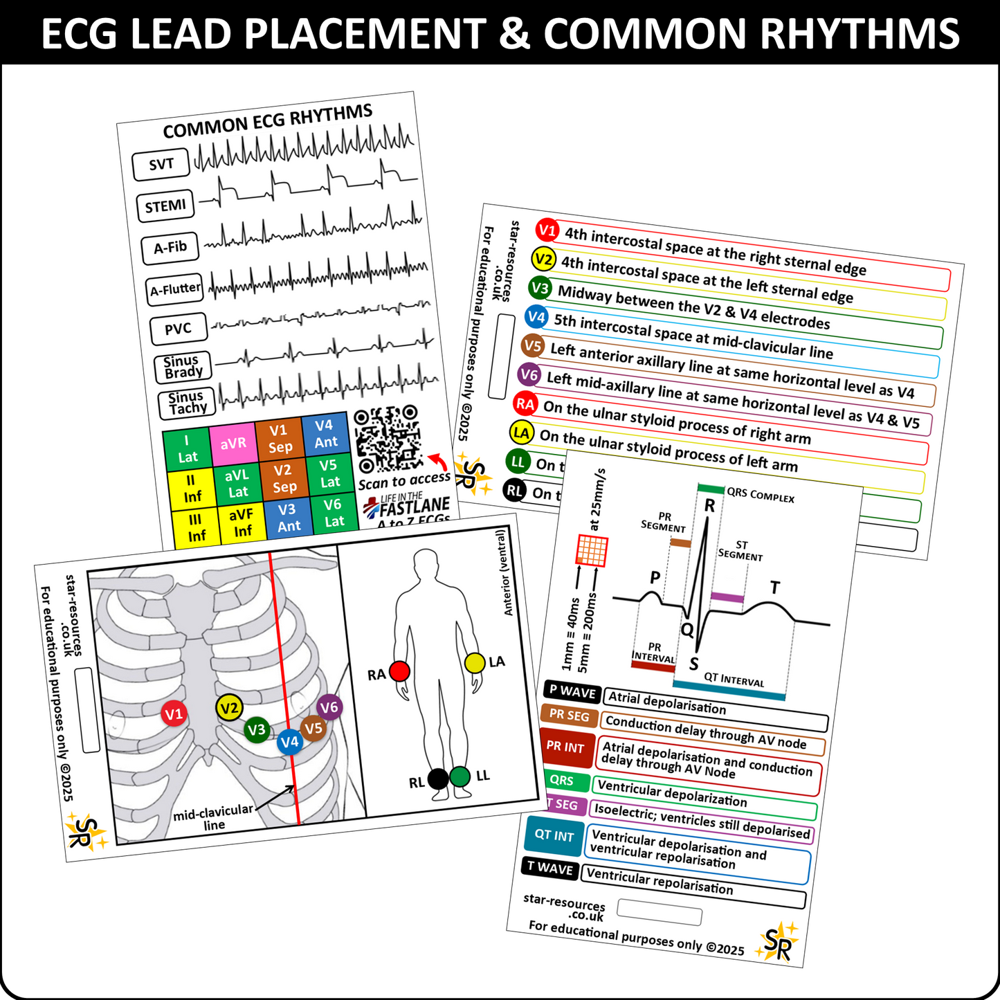 ECG ID Badge Cards