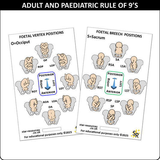 Foetal Birth Positions ID Badge Card