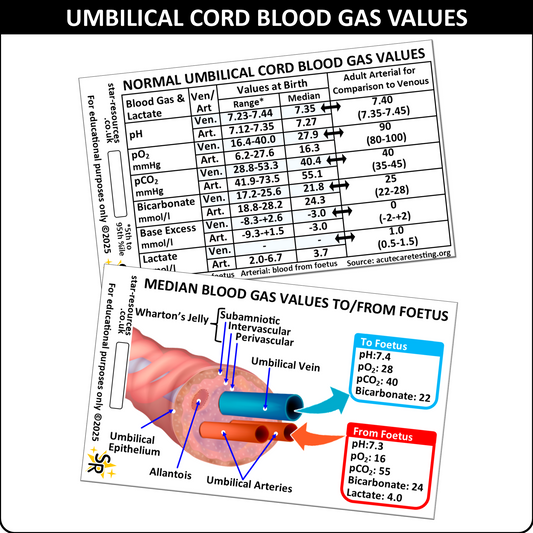 Umbilical Cord Blood Gas Values ID Badge Card Nurse Maternity Midwife Student Medical