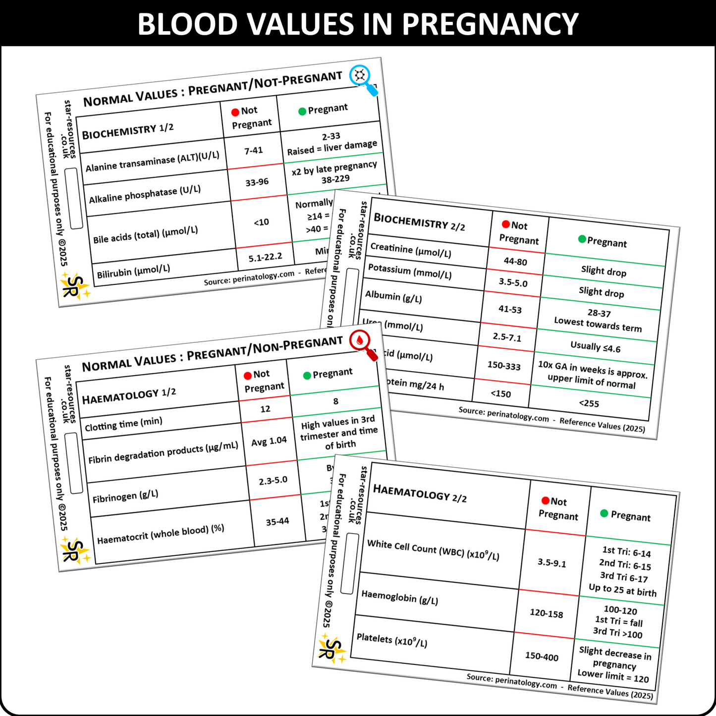 Normal Blood Values in Pregnant / Non-Pregnant Women ID Badge Card Nurse Student Paramedic Midwife