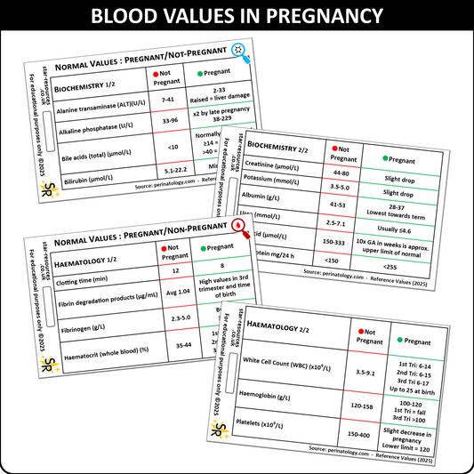 Normal Blood Values in Pregnant / Non-Pregnant Women ID Badge Card Nurse Student Paramedic Midwife