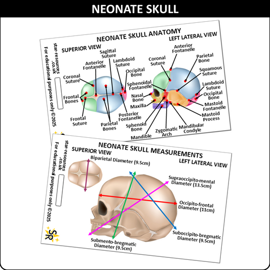 Neonate Skull Anatomy ID Badge Card Nurse Midwife Student Paramedic FREC Ambulance