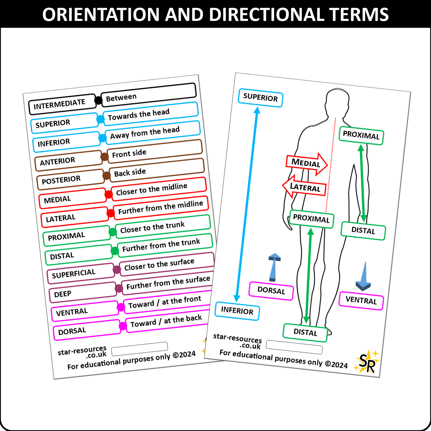 Orientation & Directional Terms ID Badge Card Student Paramedics Ambulance