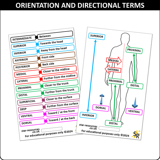Orientation & Directional Terms ID Badge Card Student Paramedics Ambulance