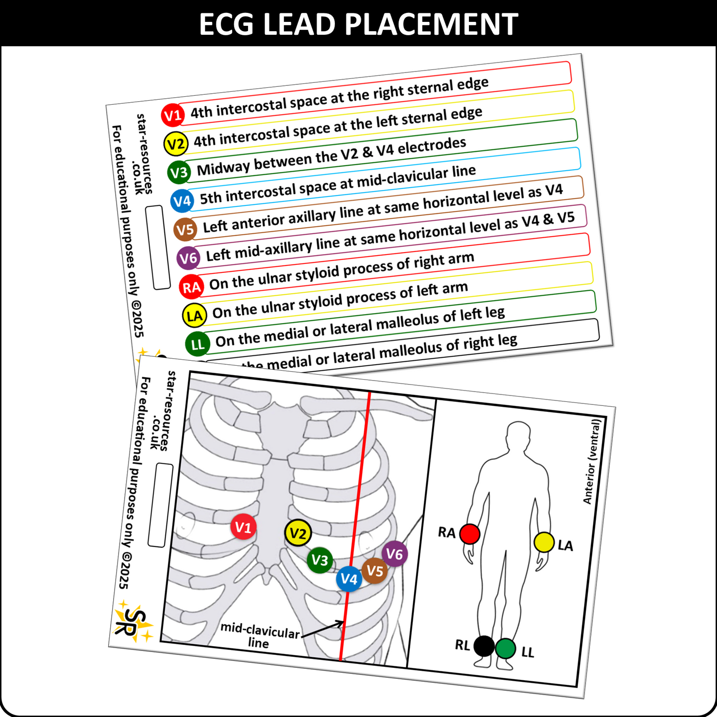ECG Lead Placement ID Badge Card