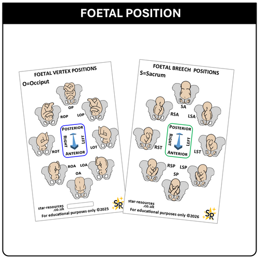Foetal Birth Positions ID Badge Card