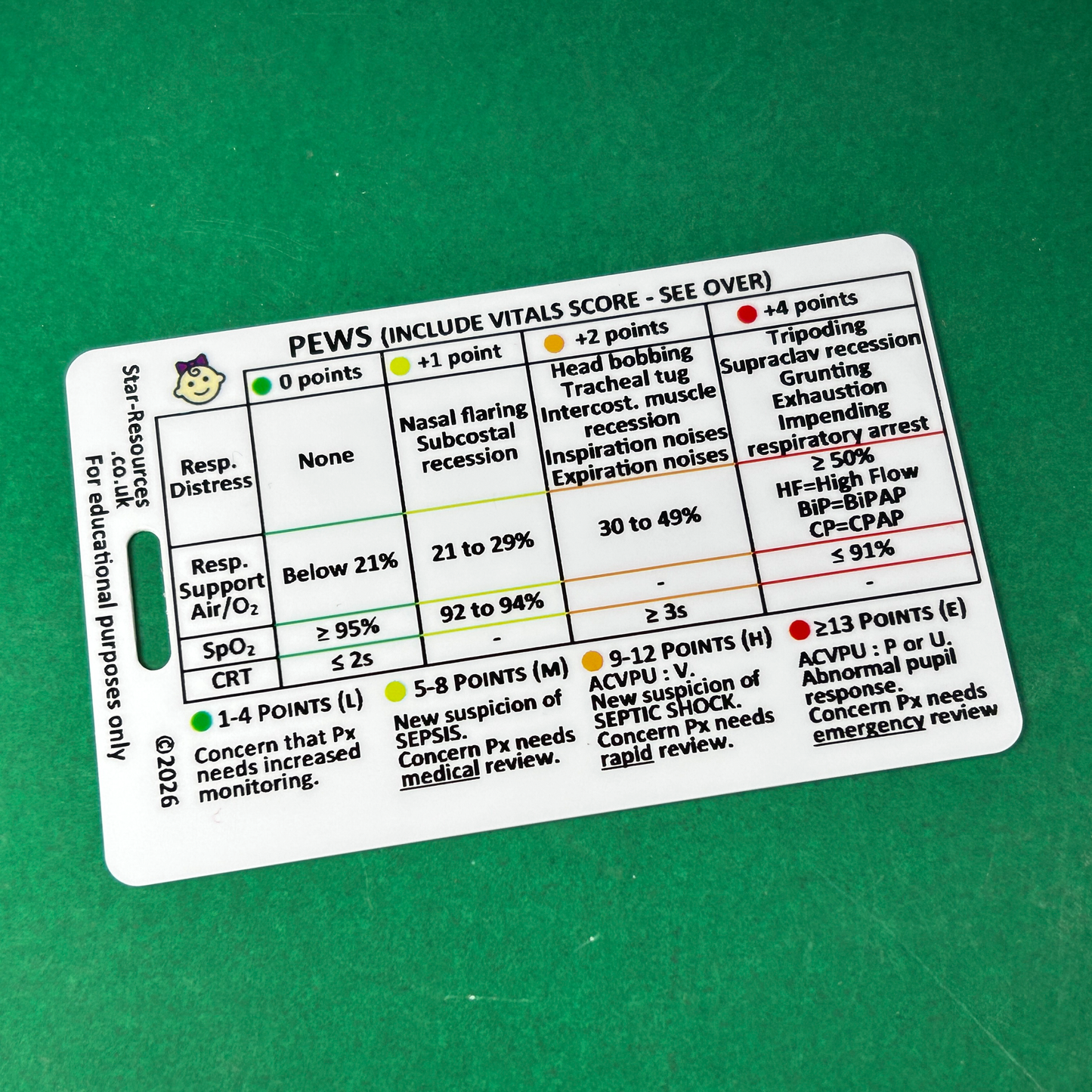 Set 4 - Paediatric  Patient Assessment ID Badge Cards Student Nurses, Paramedic, Ambulance