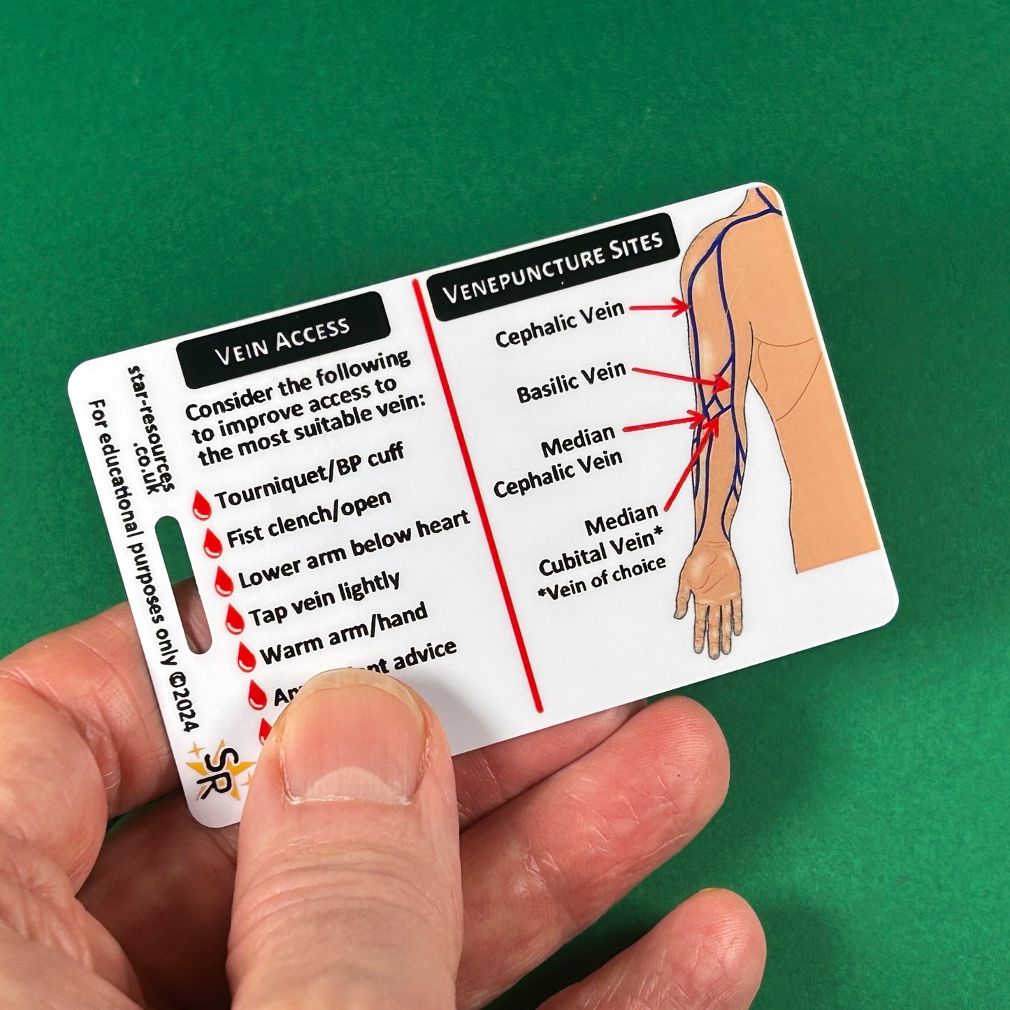 Order of Blood Draw ID Badge Card | Paramedic Flashcard | Nurses Phlebotomist Student