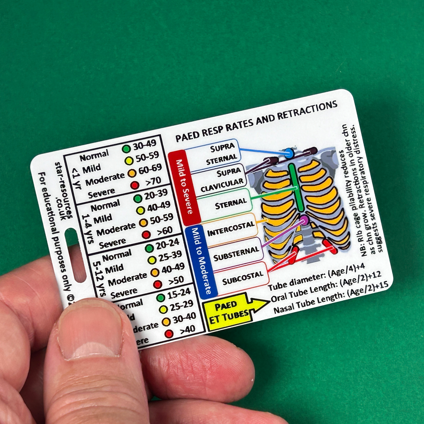 Set 4 - Paediatric  Patient Assessment ID Badge Cards Student Nurses, Paramedic, Ambulance