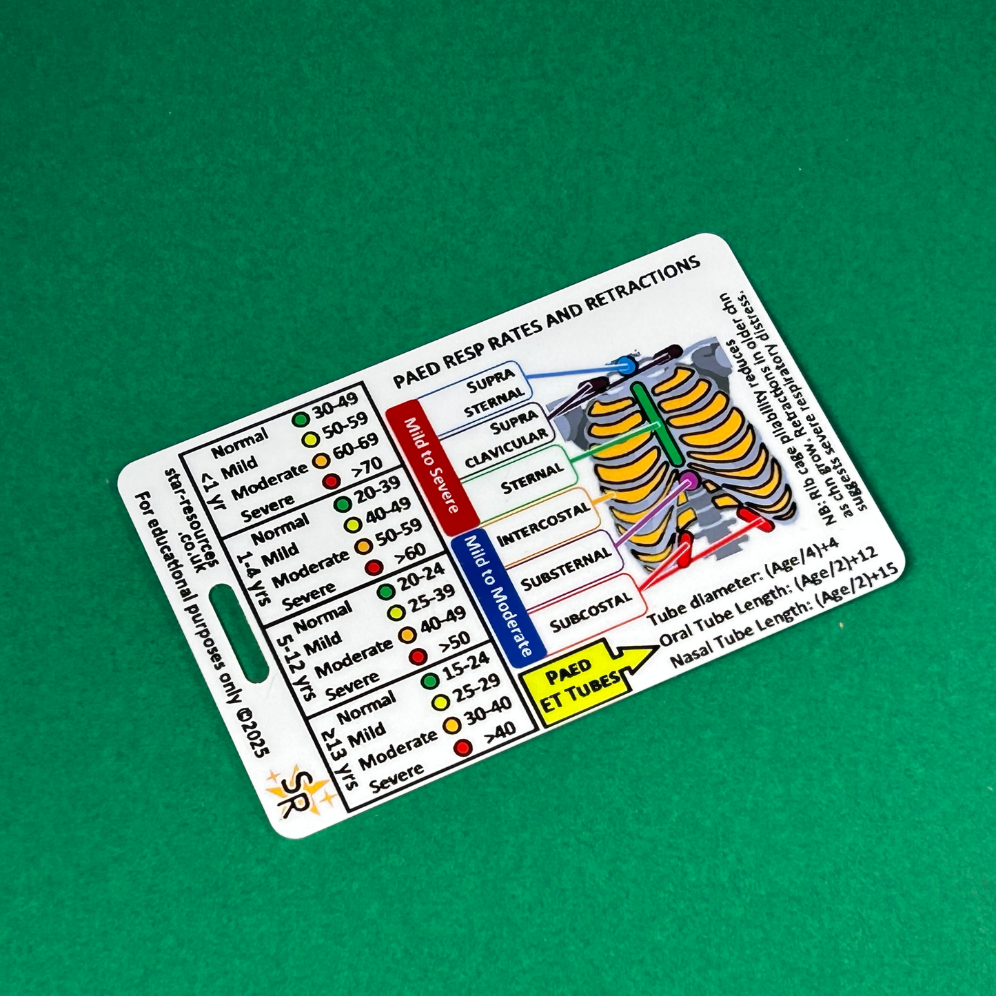 Set 4 - Paediatric  Patient Assessment ID Badge Cards Student Nurses, Paramedic, Ambulance