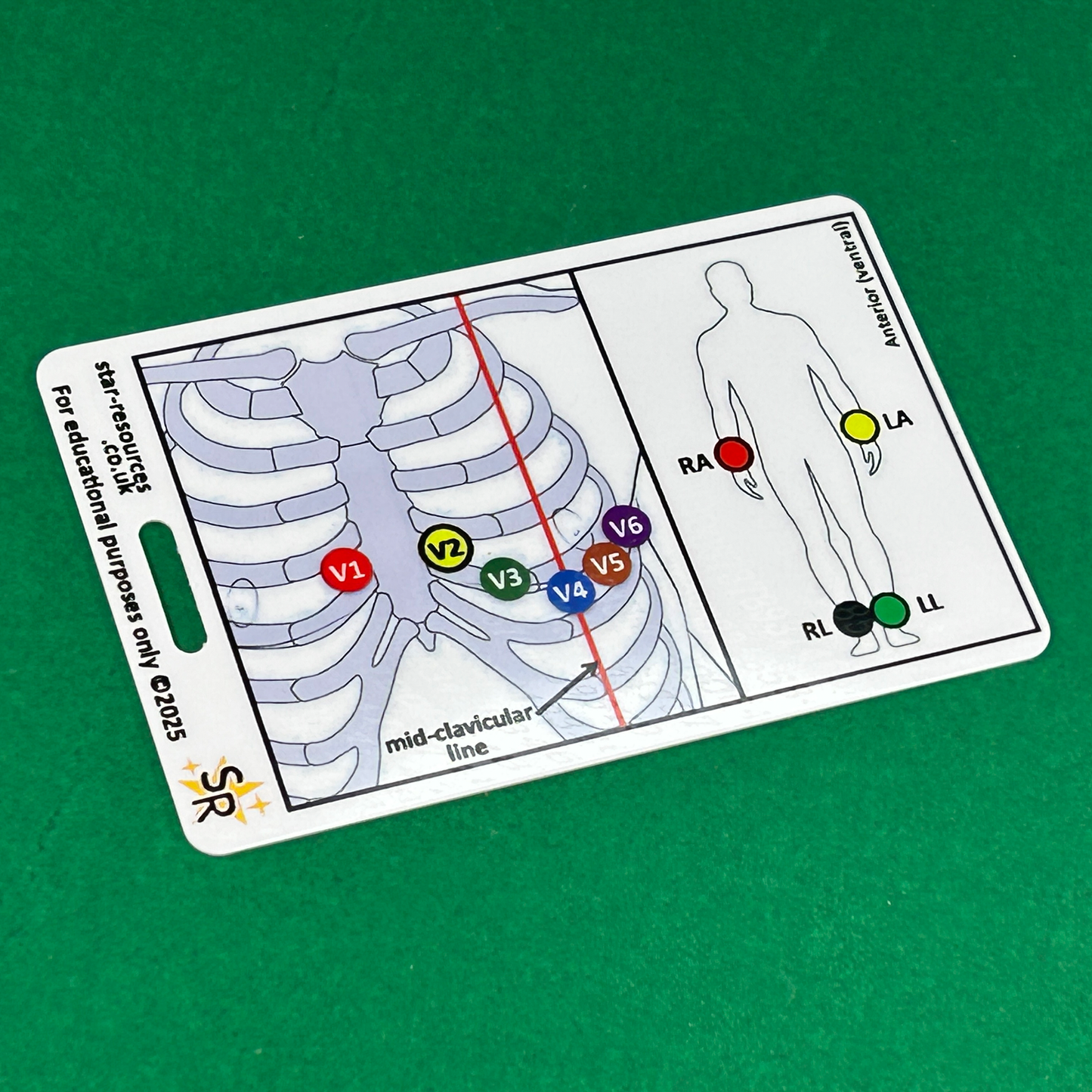 ECG ID Badge Cards