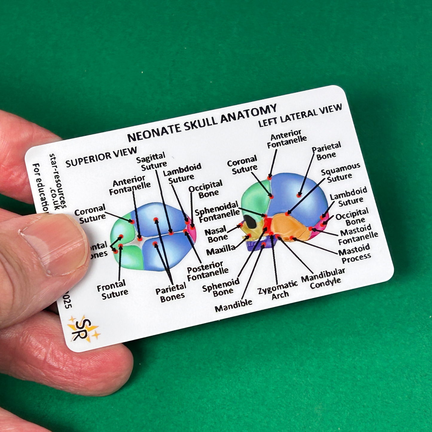 Student Midwife Card Set 2