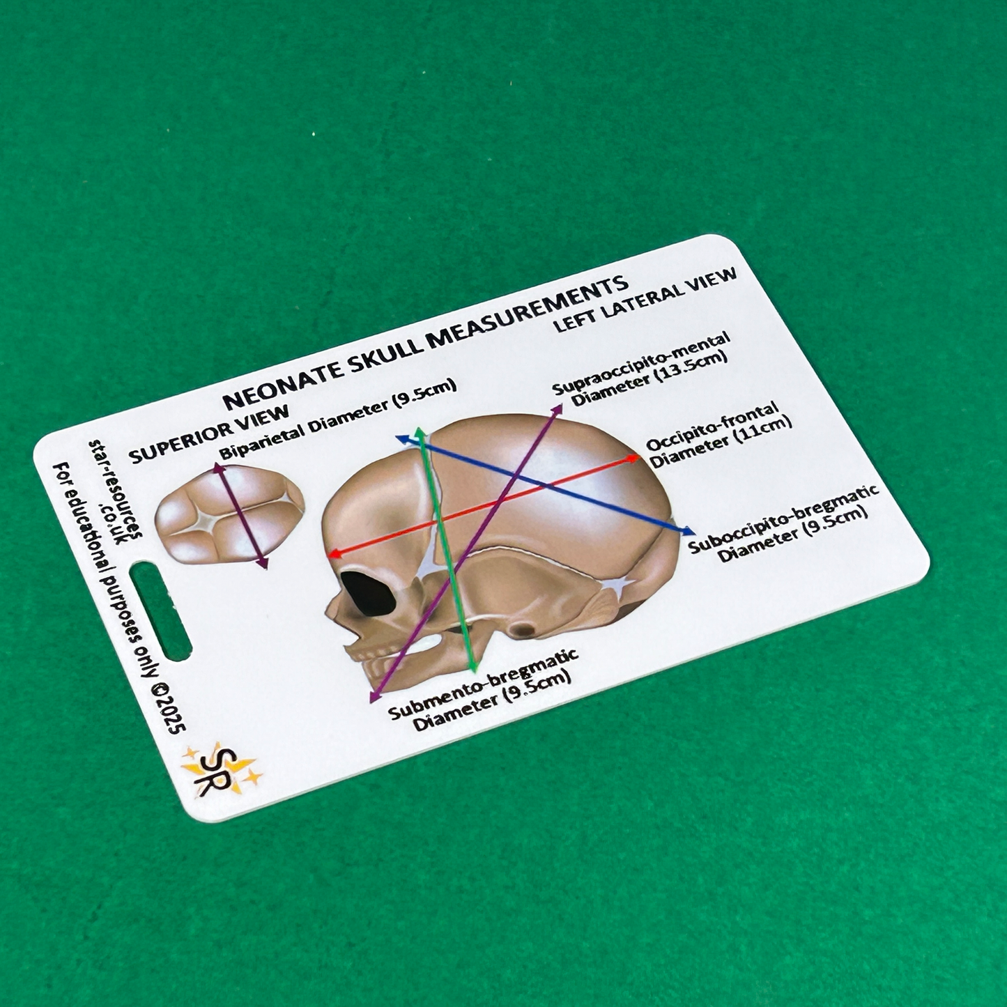 Neonate Skull Anatomy ID Badge Card Nurse Midwife Student Paramedic FREC Ambulance