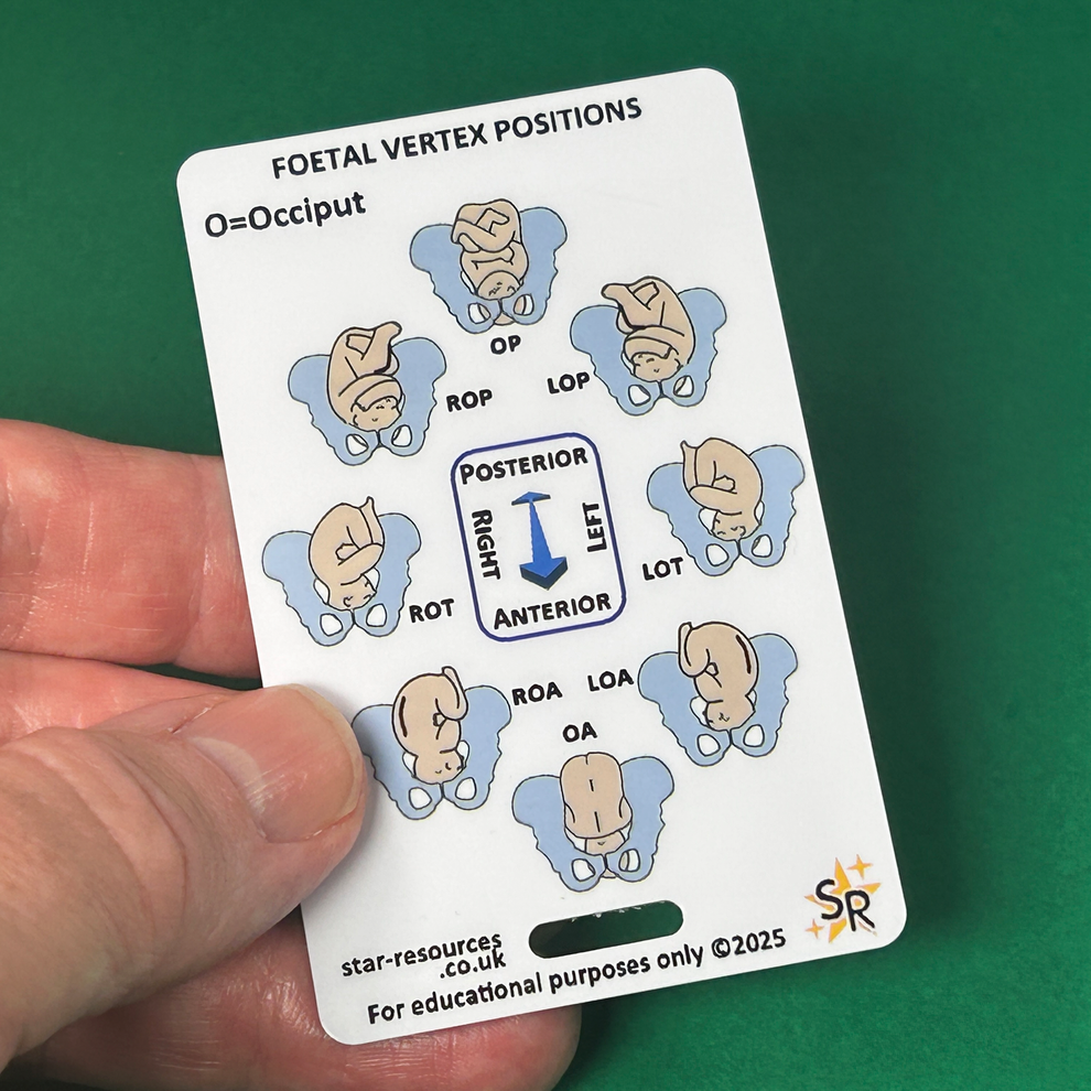 Foetal Birth Positions ID Badge Card – StarResources