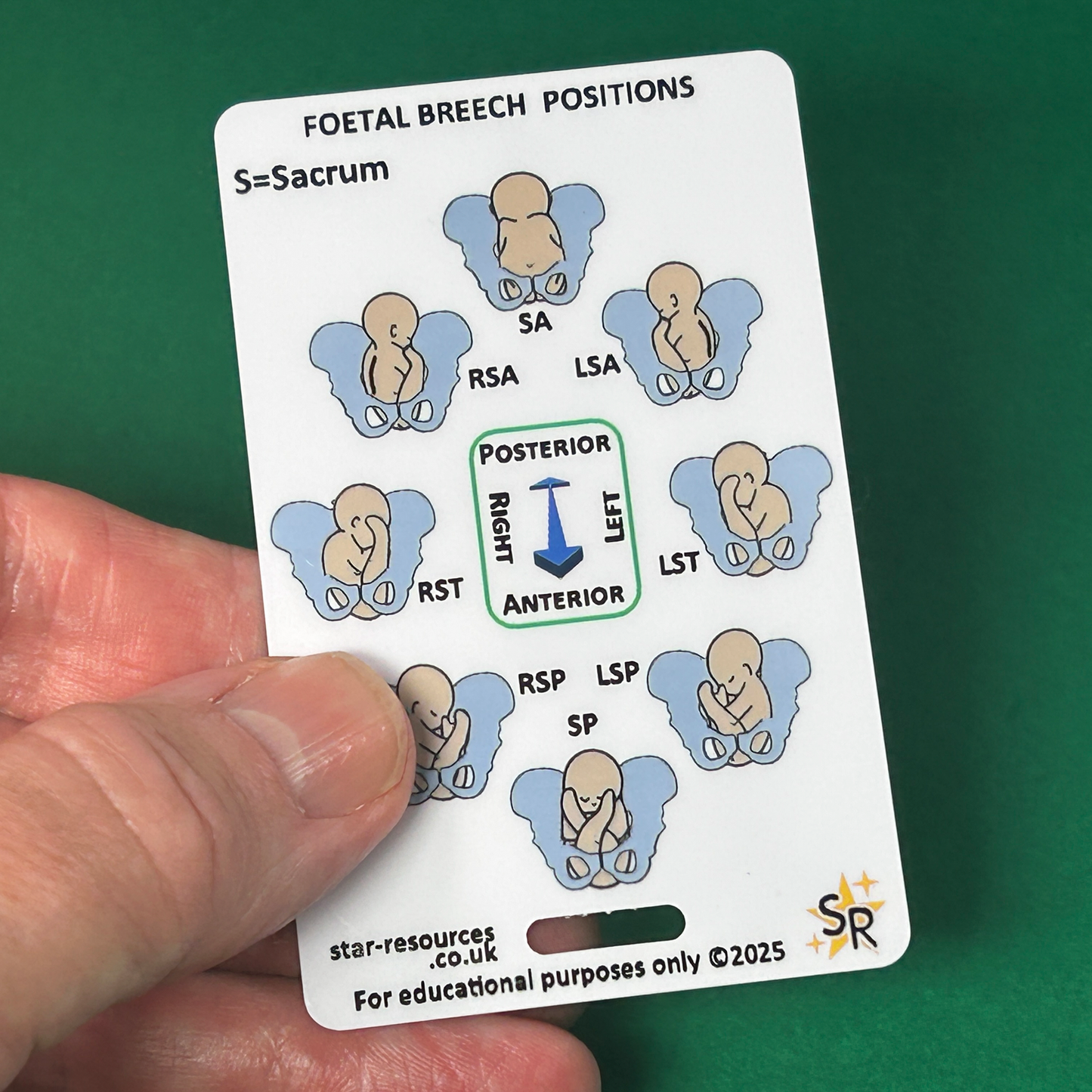 Foetal Birth Positions ID Badge Card