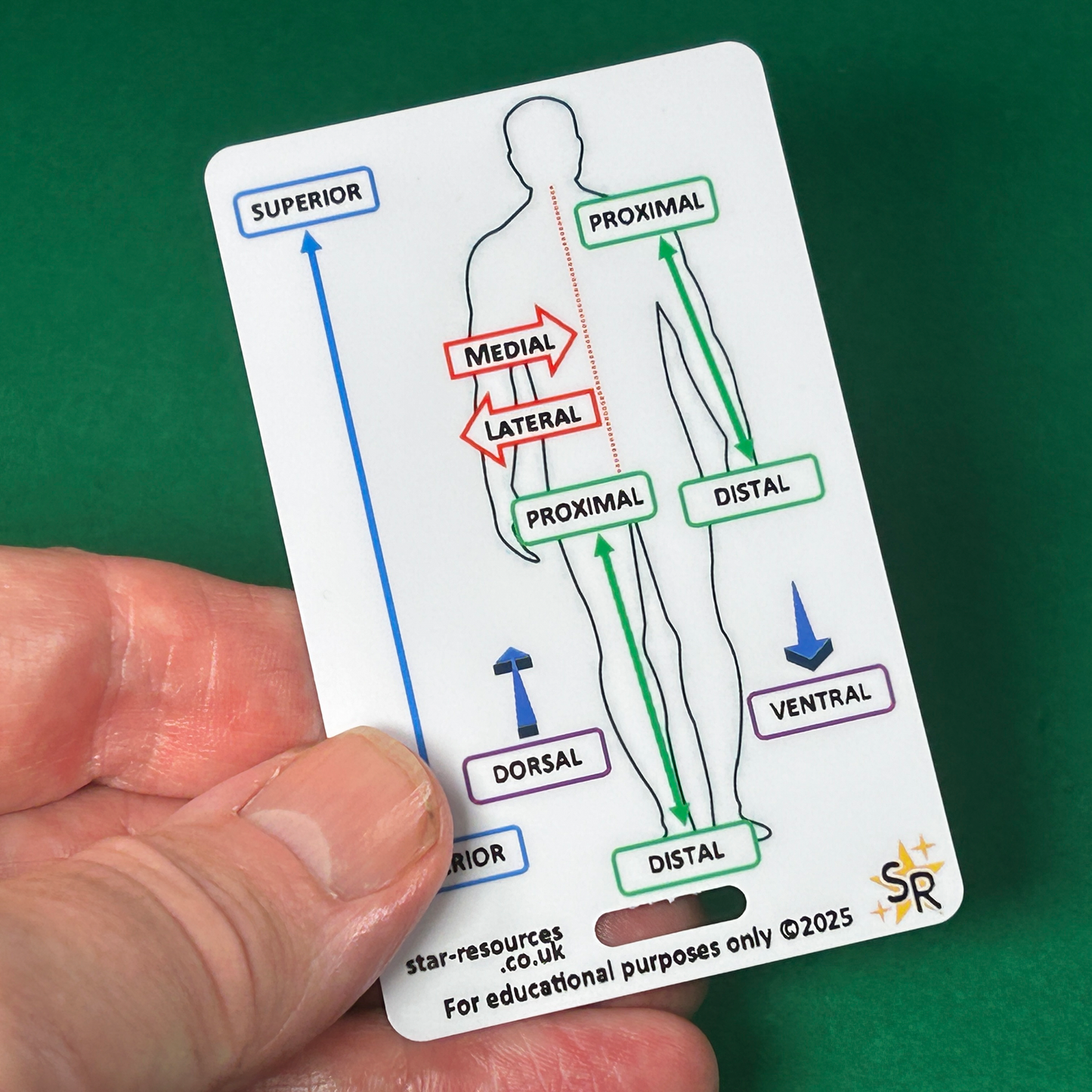 Orientation & Directional Terms ID Badge Card Student Paramedics Ambulance