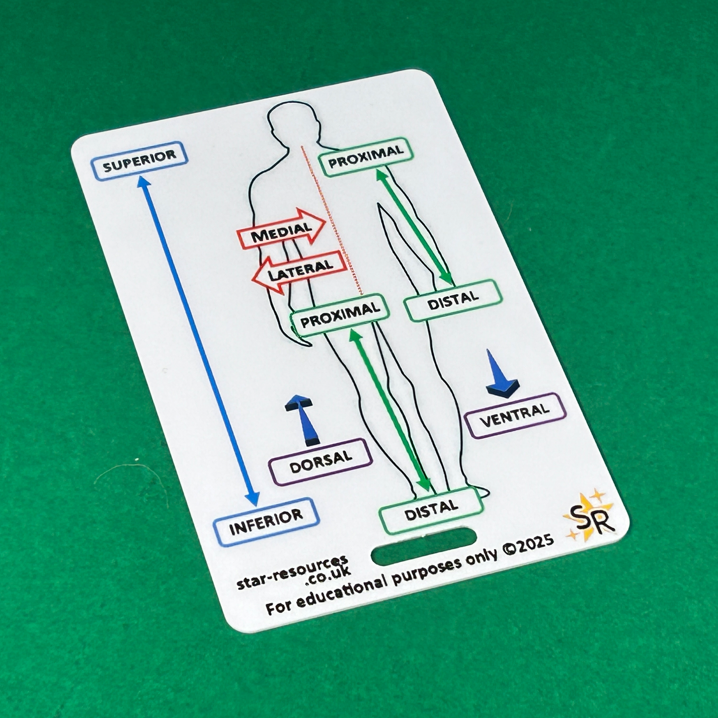 Orientation & Directional Terms ID Badge Card Student Paramedics Ambulance