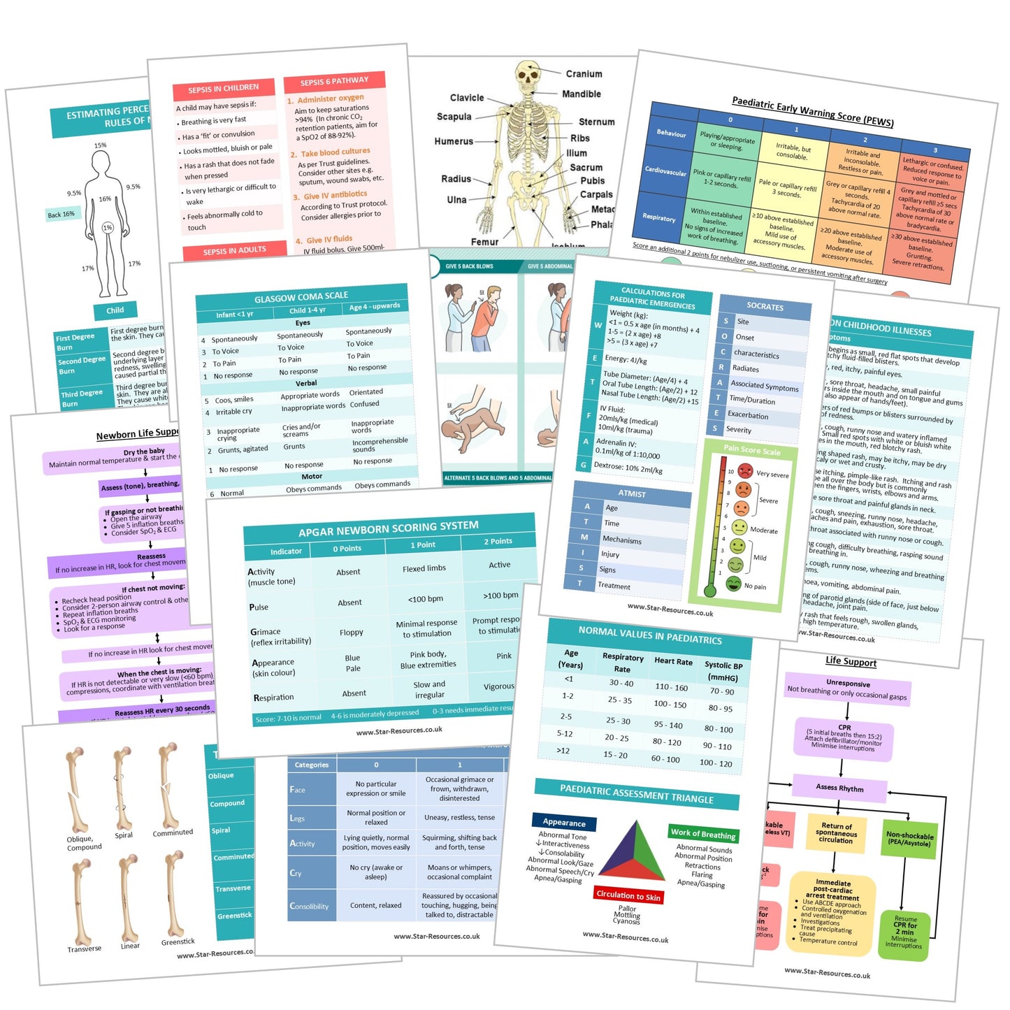 Paediatric Patient Assessment Revision Flash Cards - Paramedic, Student, Medic, ECA, CFR, Flashcards