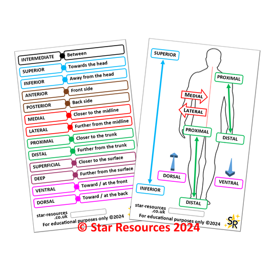 Orientation & Directional Terms ID Badge Card Student Paramedics Ambulance