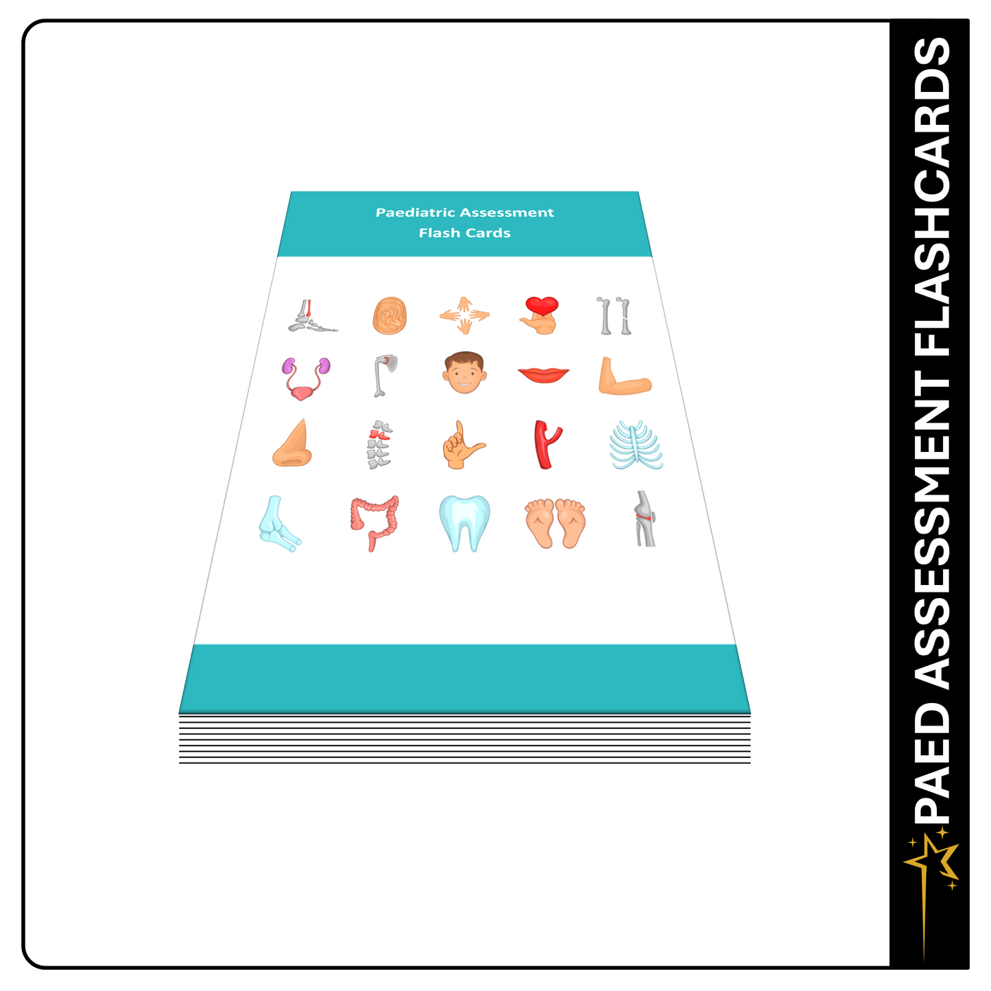 Paediatric Patient Assessment Revision Flash Cards - Paramedic, Student, Medic, ECA, CFR, Flashcards