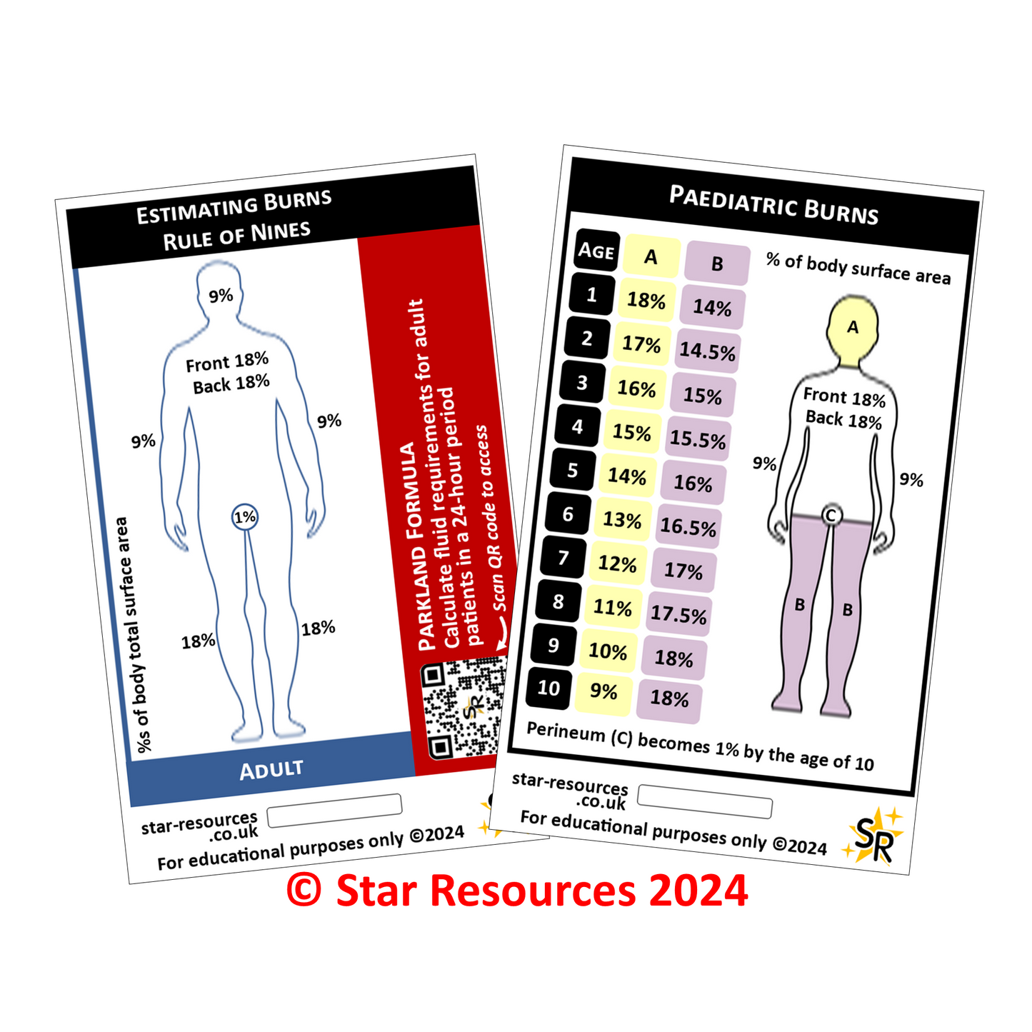 Set 1 - Patient Assessment ID Badge Cards Student Nurses, Paramedics, Ambulance