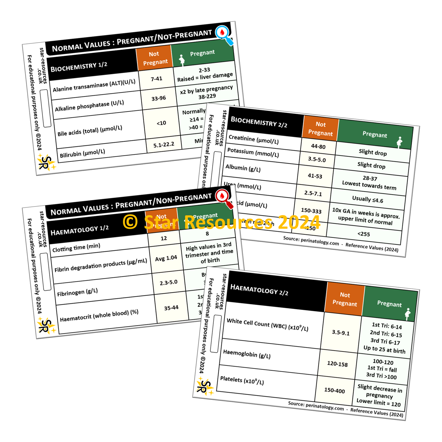 Normal Blood Values in Pregnant / Non-Pregnant Women ID Badge Card Nurse Student Paramedic Midwife