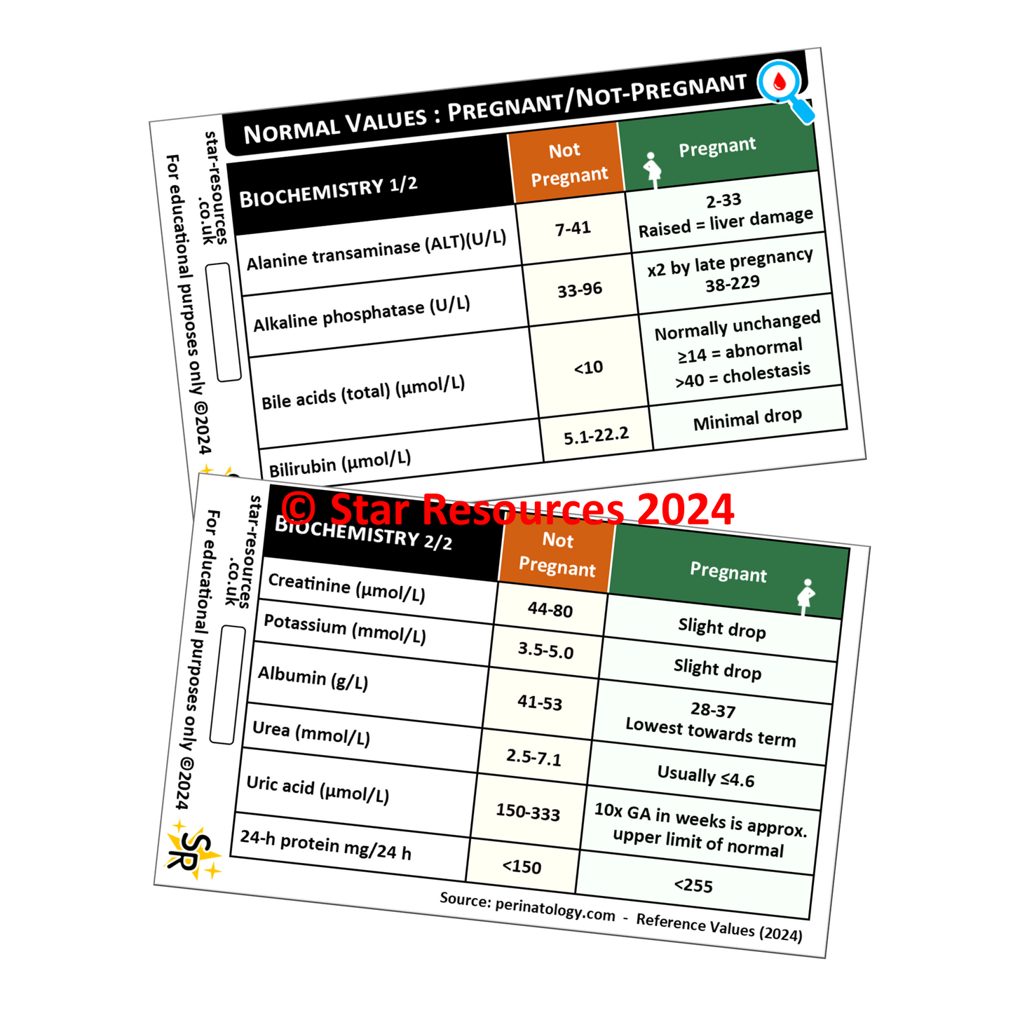 Normal Blood Values in Pregnant / Non-Pregnant Women ID Badge Card Nurse Student Paramedic Midwife