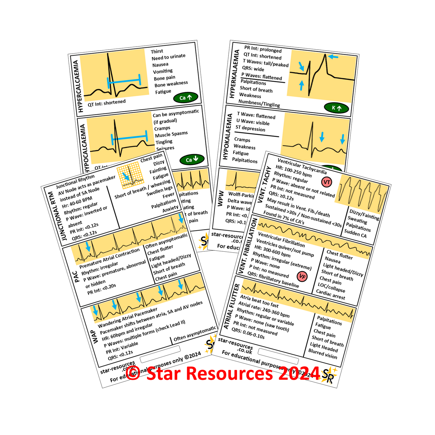 ECG Reference ID Badge Cards - Student Paramedics Ambulance